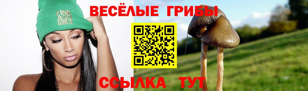 Лангепас  Галлюциногенные грибы Psilocybe  где найти наркотики  Вход с VPN 